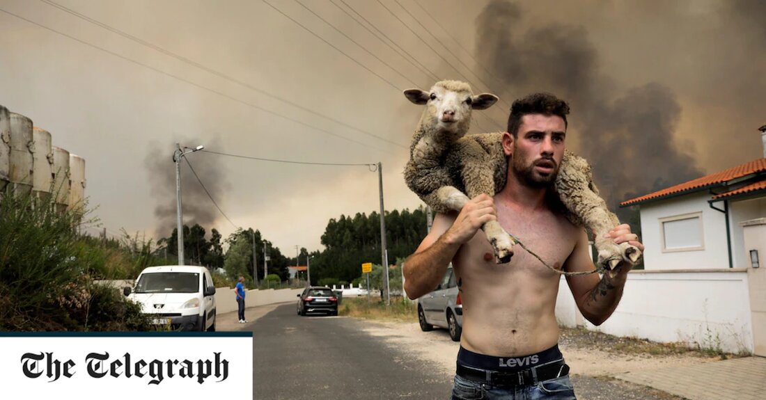 Eine sengende Hitzewelle hat Europa getroffen und Dürren, Gesundheitswarnungen und Waldbrände ausgelöst, und die Temperaturen werden diese Woche voraussichtlich noch weiter steigen. Feuerwerksfeiern zum Tag der Bastille wurden in Frankreich verboten, als in Italien der Ausnahmezustand ausgerufen wurde, wo Tagesausflügler an die Strände flohen. In Spanien und Portugal kam es zu Waldbränden, da in vielen europäischen Ländern, die unter der drückenden Hitze zu kämpfen hatten, Gesundheitswarnungen herausgegeben wurden. In Großbritannien gab es Warnungen, dass der NHS unter dem Druck der Hitzewelle einknicken könnte. In einigen Ländern werden Temperaturen von bis zu 44 Grad erwartet, nur wenige Wochen nachdem Frankreich, Portugal &hellip;