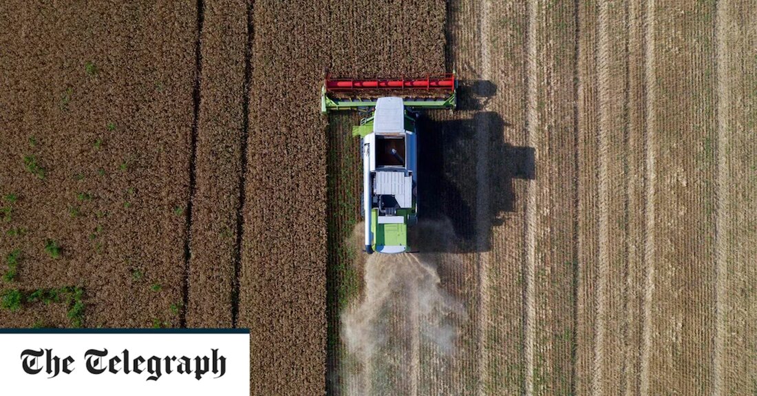 In die Höhe geschossene Weizenpreise haben in mehreren afrikanischen Ländern Unruhen und Streiks in Bäckereien ausgelöst, da die Folgen der russischen Invasion in der Ukraine Millionen Menschen in den Hungertod treiben. Jetzt sucht die Privatwirtschaft nach Lösungen. In Malawi wurden diese Woche Proteste in der Hauptstadt gewalttätig, als Hunderte verärgerter Bürger den Präsidenten beschuldigten, keine Lösungen für die hohen Lebenshaltungskosten gefunden zu haben, während nigerianische Bäcker am Donnerstag einen viertägigen Streik starteten, um Druck auf die Regierung auszuüben eine 15-prozentige Steuer auf Weizen senken. Unterdessen leiden am Horn von Afrika 18 Millionen Menschen unter extremem Hunger inmitten der schlimmsten Dürre &hellip;