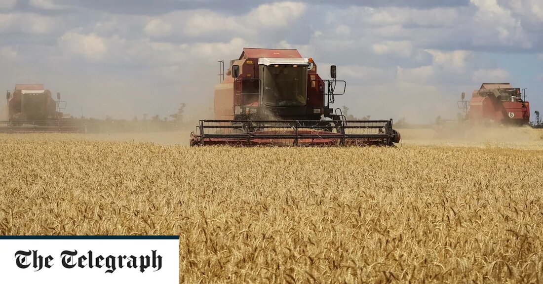 Es sollte der Deal sein, der der vom Krieg verwüsteten ukrainischen Wirtschaft Leben einhaucht und die Welt vor einer globalen Hungersnot rettet. Die UN bezeichnete es als „Leuchtturm der Hoffnung“ am Schwarzen Meer. Und das ist es möglicherweise. Was aber, wenn sich der russische Präsident Wladimir Putin, dessen Invasion in der Ukraine die weltweite Nahrungsmittelknappheit auslöste, als größter Gewinner herausstellt? Analysten sagten, dass der am Freitag in Istanbul unterzeichnete Deal zur Aufhebung der russischen Blockade ukrainischer Häfen dem Kreml zwei wichtige Impulse gibt. Es wird die Schatzkammer des Kremls mit Bargeld füllen, das er zur Finanzierung seines Krieges verwenden kann, &hellip;