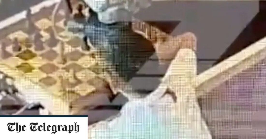Ein Schachroboter ist beschuldigt worden, bei einem Schachspiel in Moskau einen siebenjährigen Jungen angegriffen und ihm den Finger gebrochen zu haben. Der schockierende Vorfall wurde während eines Spiels bei den Moscow Open am Dienstag auf Video festgehalten. Das vom Baza Telegram-Kanal veröffentlichte Filmmaterial zeigt den Jungen mit entsetzlichen Schmerzen, als der Roboter mitten im Spiel mehrere Sekunden lang auf seinen Finger drückt. Es sind mehrere Zuschauer zu sehen, die hereinstürmen, um den Vorfall zu stoppen, den Jungen aus den Fängen des Roboters zu befreien und ihn von der Szene zu entfernen. Jesus… Ein Roboter hat einem Kind beim Schachturnier in &hellip;