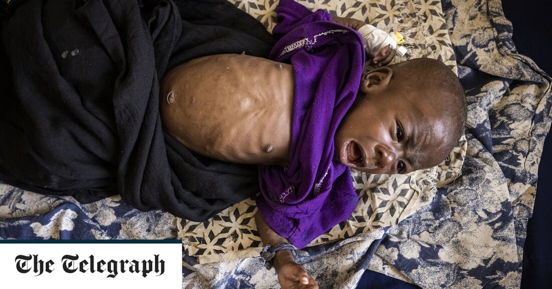Die Vereinten Nationen haben gewarnt, dass es der „letzte Moment der 11. Stunde“ ist, um eine weit verbreitete Hungersnot in Somalia abzuwenden, nachdem „konkrete Anzeichen“ dafür vorliegen, dass Teile des Landes noch in diesem Jahr die Hungerschwelle erreichen werden. Das vom Krieg heimgesuchte Land befindet sich inmitten der schlimmsten Dürre seit mehr als 40 Jahren, wodurch sieben Millionen Menschen dringend auf humanitäre Hilfe angewiesen sind. Die Krise wurde durch den Krieg in der Ukraine verschärft, der die Lebensmittel- und Treibstoffpreise in die Höhe getrieben und die für Somalia verfügbare Hilfe verringert hat. Am Montag zeichnete der UN-Humanitätschef Martin Griffiths ein &hellip;