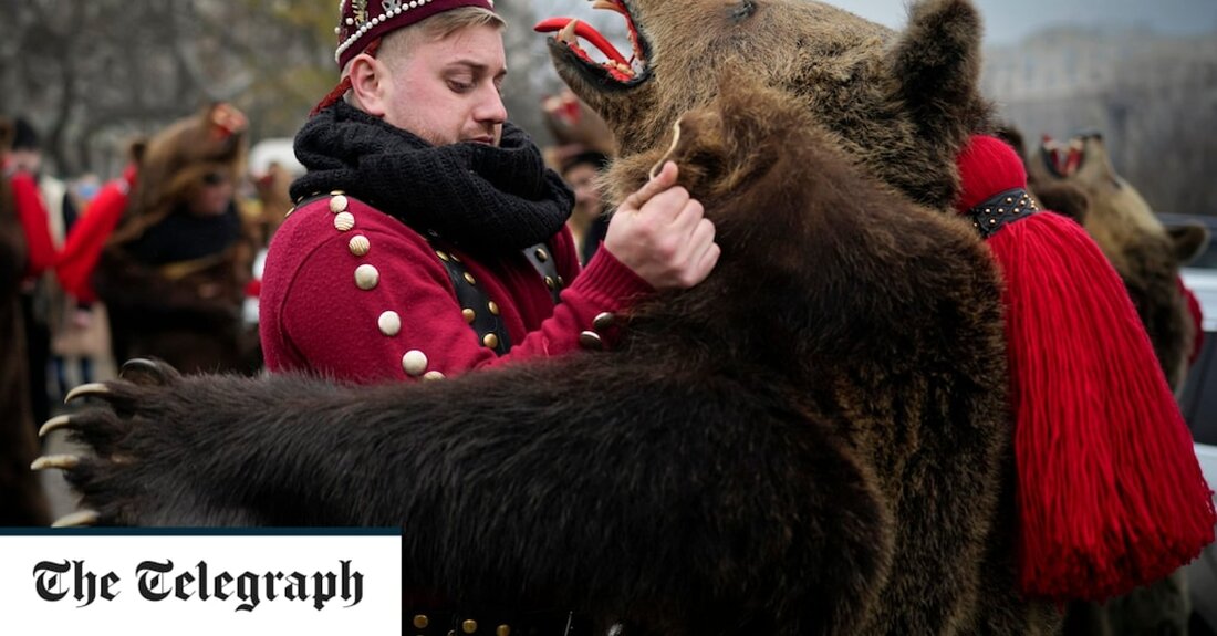 Künstler in Bukarest wurden in kunstvollen Bärenkostümen fotografiert, bevor sie an einer Parade der Wintertraditionen teilnahmen. In vorchristlichen ländlichen Traditionen in Rumänien tragen Tänzer bunte Kostüme oder Tierfelle, zogen in den Dörfern von Haus zu Haus und sangen und tanzten, um das Böse abzuwehren. Der Tradition nach bedeutet ein Bär im Hof ​​eines Hauses Glück. Die Teilnehmer tanzen, spielen Instrumente und singen als Teil des Rituals, das jährlich zum Jahresende aufgeführt wird. Darsteller jeden Alters nehmen an den Feierlichkeiten teil, mit roten Quasten, die von den Rücken der Bären hängen. Im krassen Gegensatz zu den Pelzoutfits sind andere Darsteller in &hellip;