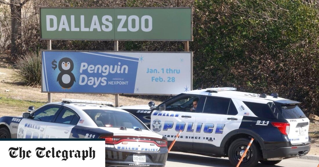 Es wird angenommen, dass ein Paar seltener Kaiseräffchen nach einer Reihe mysteriöser Vorfälle aus einem US-Zoo gestohlen wurde, darunter der mutmaßliche Stich eines seiner Geier. Das Verschwinden der Affen war das vierte Mal in diesem Monat, dass der Zoo von Dallas entdeckte, dass seine Tiere oder ihre Gehege manipuliert worden sein könnten, einschließlich der „ungewöhnlichen“ Umstände im Zusammenhang mit dem Tod des gefährdeten Geiers letzte Woche. „Kaisertamarin-Affen würden wahrscheinlich in der Nähe ihres Zuhauses bleiben – der Zoo suchte in der Nähe ihres Lebensraums und auf dem gesamten Zoogelände und fand sie nicht“, hieß es in einer Erklärung am Montag. &hellip;
