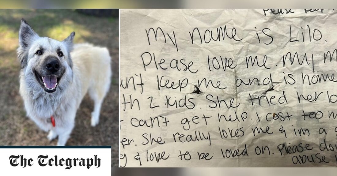 Als Lilo, ein vier Jahre alter Hund, durch die Straßen von Chattanooga, Tennessee, streunend gefunden wurde, hatte sie nur eine Leine, ein Halsband und einen herzzerreißenden Zettel an sich gebunden. Es lautete: „Bitte liebe mich. Meine Mutter kann mich nicht behalten und ist mit zwei Kindern obdachlos. Sie hat ihr Bestes versucht, kann aber keine Hilfe bekommen. Ich koste zu viel für sie. „Sie liebt mich wirklich und ich bin ein toller Hund und liebe es, geliebt zu werden“, fuhr sie fort. „Bitte beleidige mich nicht.“ Lilo, eine Mischung aus Deutscher Schäferhund und Großen Pyrenäen, fand letzte Woche in einem &hellip;