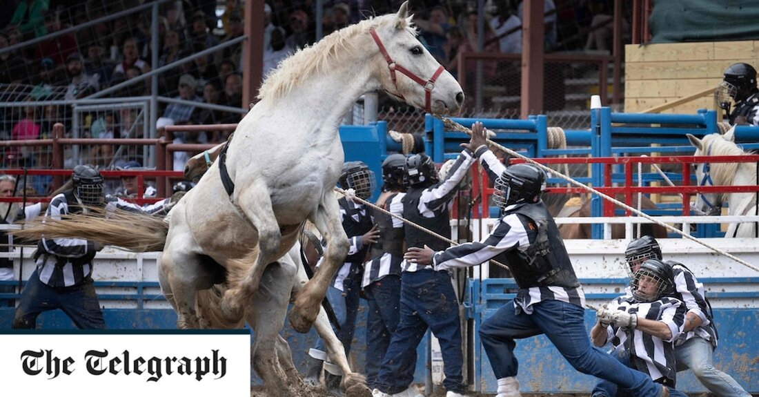 Während Kinder in der Nähe auf einem Karussell ritten, traten Gefangene diese Woche mit professionellen Cowboys auf Pferden und Bullen bei einem einzigartigen US-Rodeo-Event an, das jetzt in seinem 57. Jahr stattfindet, vor Tausenden von zahlenden Besuchern. Das jährliche Rodeo im Gefängnis von Louisiana in Angola, das auf seiner Website als die „wildeste Show im Süden“ bezeichnet wird, umfasst etwa ein Dutzend Veranstaltungen, bei denen Gefangene und professionelle Cowboys unter den wachsamen Augen der Gefängniswärter und der Zuschauer gegeneinander antreten. Wie bei einem typischen Jahrmarkt können die anwesenden Kinder auf einem Karussell fahren oder auf einem Pferd herumtraben, aber dieser &hellip;