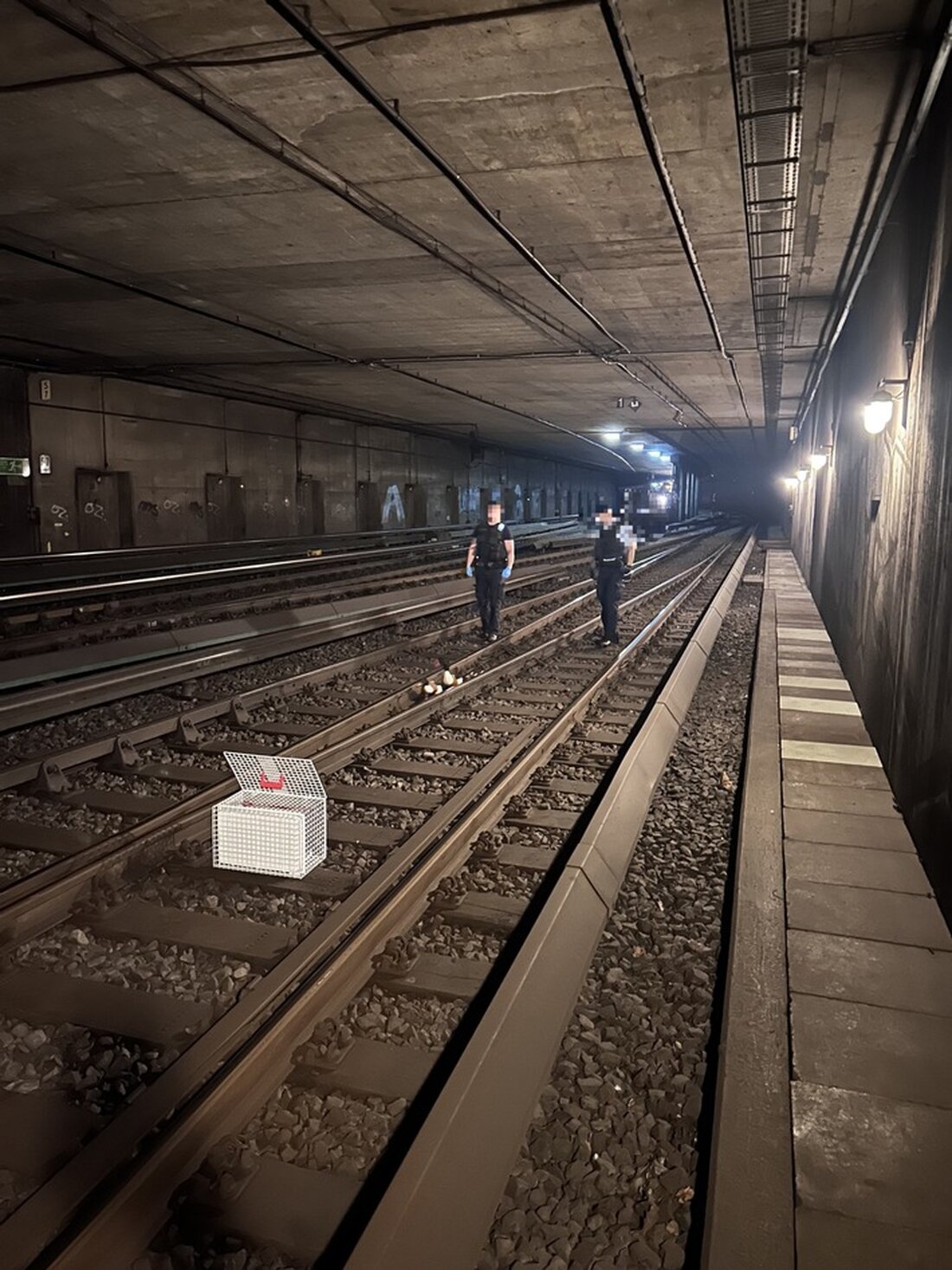Bundespolizei Hamburg rettet Entenfamilie im S-Bahntunnel Altona nach Hinweisen von Passanten. Tierisches Happy End garantiert.