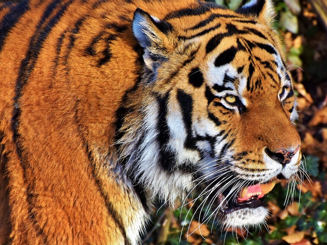 Der Tierpark Berlin überrascht mit der Verlängerung der Dino World bis Herbst 2025 – Besucher sind begeistert!