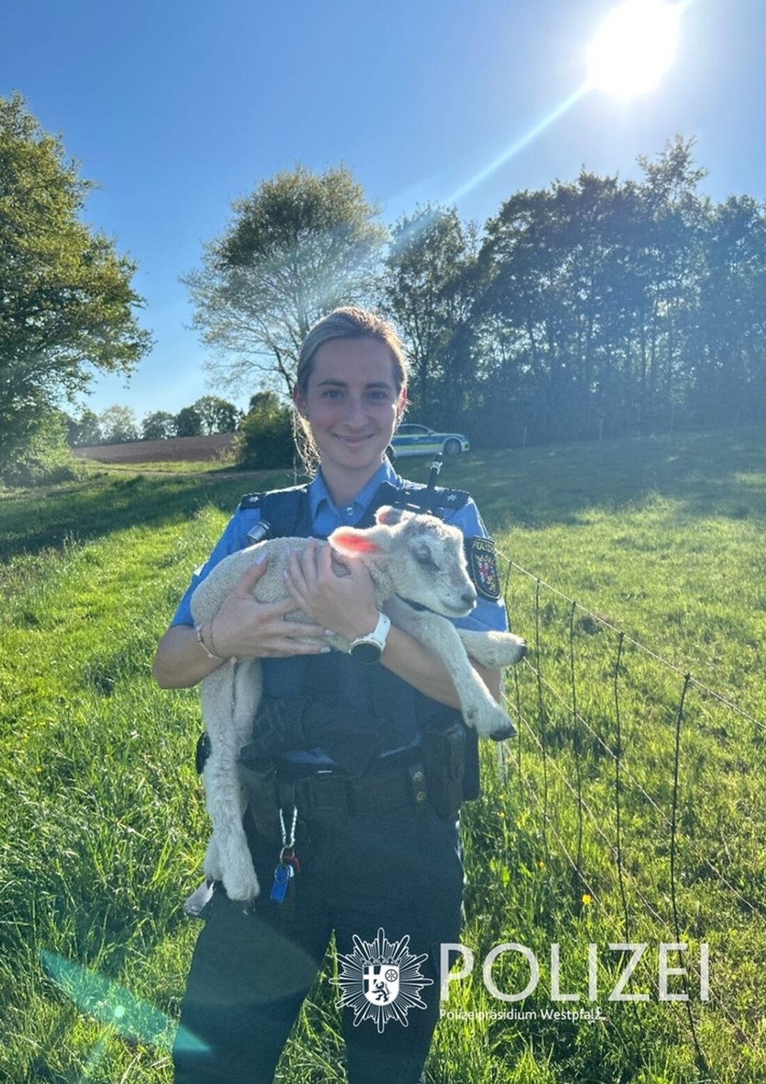 Die Polizei Zweibrücken rettete ein neugeborenes Lamm nach dem Tod seiner Mutter und sicherte so dessen Überleben.