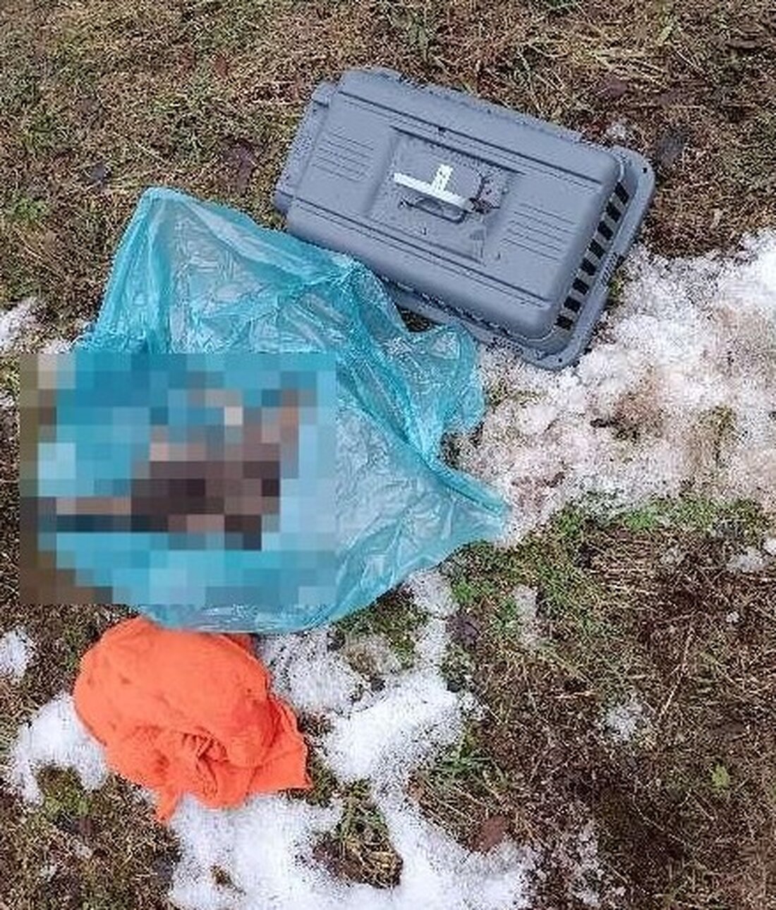 In Einbeck wurde eine verstorbene Hauskatze in einer Transportbox gefunden. Hinweise auf den Halter erbeten. Polizei ermittelt.