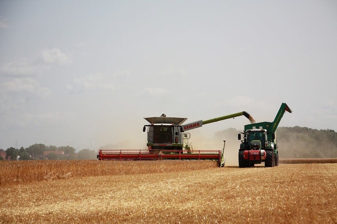 Erstmals fiel das Traktor-Pulling beim Trecker-Treck in Bittenfeld aus. Trotz Schlamm und Wetterunbilden meistern Landwirte die Situation.