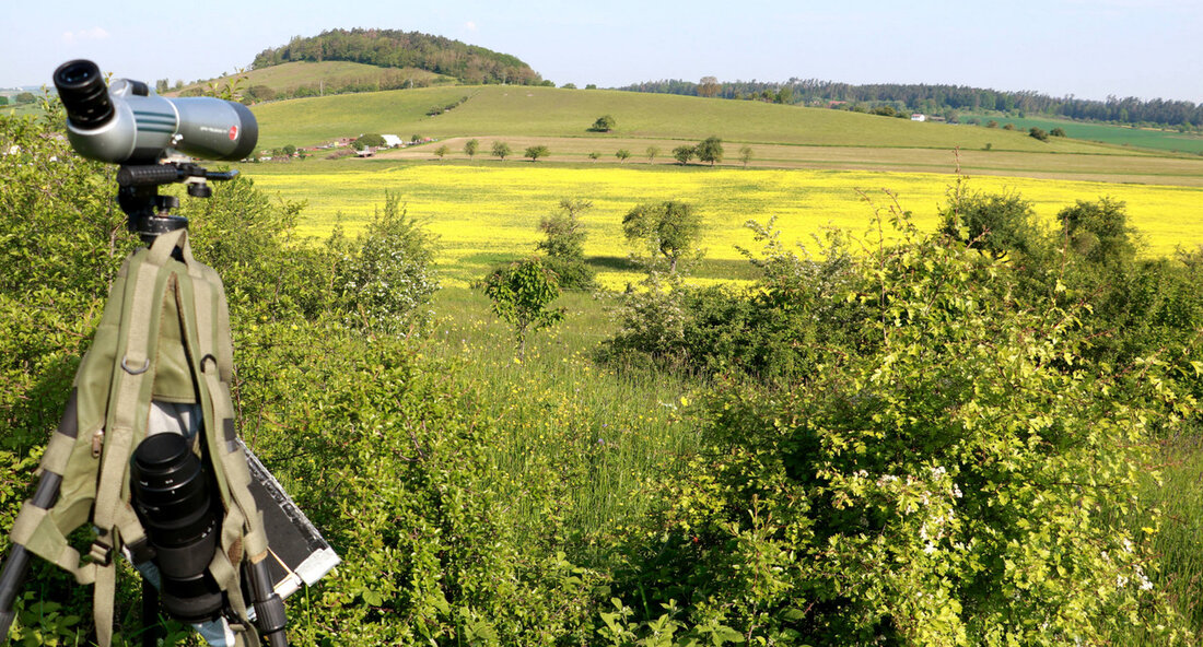 Umweltministerium fördert Naturschutzprojekte in Baden-Württemberg mit 1,4 Millionen Euro Das Umweltministerium Baden-Württemberg hat bekannt gegeben, dass es Naturschutzprojekte im Land mit einer Summe von 1,4 Millionen Euro unterstützen wird. Interessierte gemeinnützige Organisationen, kommunale Stellen, Unternehmen und Privatpersonen haben die Möglichkeit, Anträge für Fördermittel bei der Stiftung Naturschutzfonds einzureichen. Dabei können je nach Projektgröße Anträge entweder laufend oder bis zum 2. November 2024 eingereicht werden. Die Naturschutzstiftung legt ihren Fokus unter dem Motto „Wir fördern Vielfalt“ auf Projektvorhaben, die die biologische Vielfalt stärken und erhalten. Dies umfasst verschiedene Bereiche wie angewandte Forschung im Naturschutz, Maßnahmen zur Anpassung an den Klimawandel und …