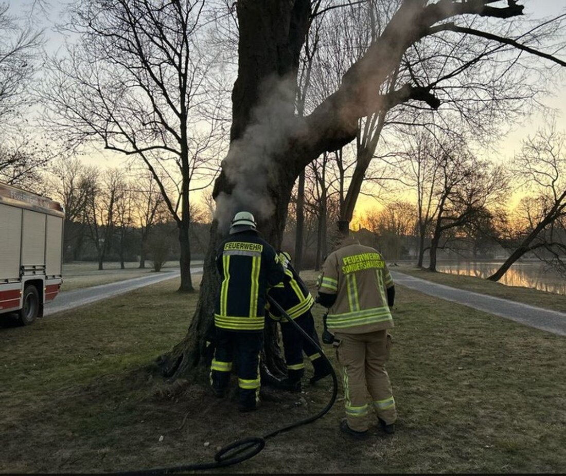 Im Sondershäuser Schlosspark wurde ein Baum angezündet. Die Polizei sucht Zeugen, die Hinweise zur Tat geben können.
