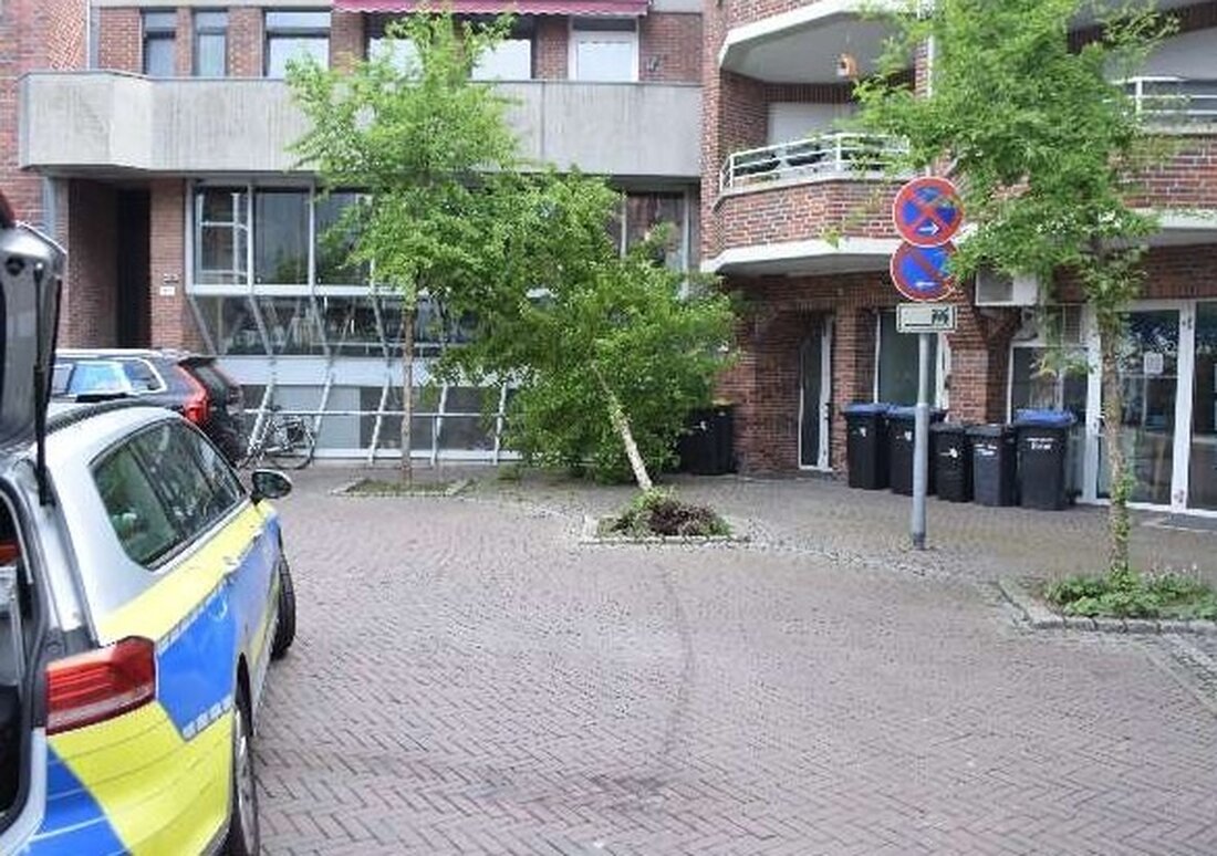 Unbekannter Verkehrsteilnehmer umfuhr einen Baum in Nordhorn und flüchtete. Polizei sucht Zeugen. Hinweise erbeten!