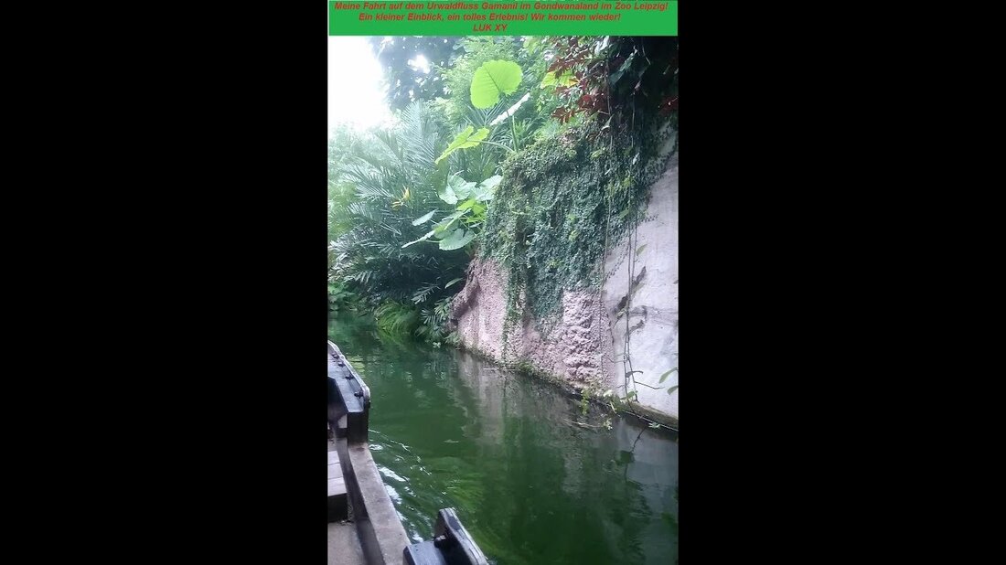 Ein kleiner Einblick von unserem Ausflug mit einem Boot in Gondwanaland. Der Zoo in Leipzig ist wohl einer der schönsten überhaupt. Einfach schön, ein unvergessliches Erlebnis! Gondwanaland ist der tropische Regenwald Afrikas, Asiens und Südamerikas! 140 exotische Tierarten! 500 verschiedene Baum- und Pflanzenarten! Vielen Dank an das ZOO TEAM – wir kommen wieder! #Gondwanaland #zooleipzig. Youtube-Link