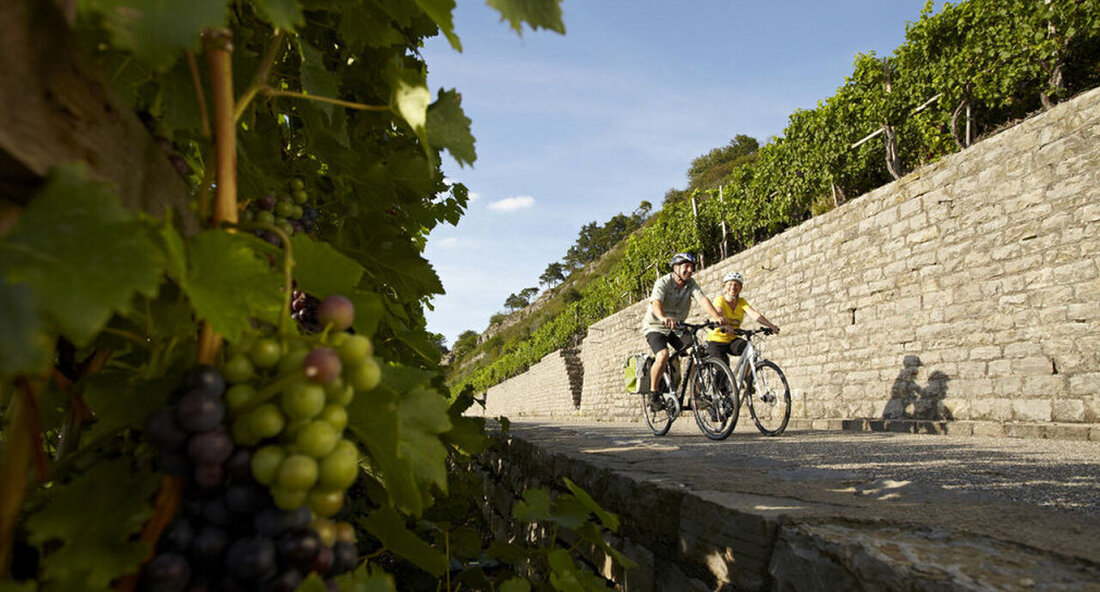 Das touristische Infrastrukturprogramm 2023 ist gestartet. Noch bis zum 1. Oktober können Städte und Gemeinden Förderanträge für ihre geplanten Infrastrukturmaßnahmen stellen. Ab dem 13.06.2022 können Städte und Gemeinden für ihre geplanten Infrastrukturmaßnahmen wieder Förderanträge im Rahmen des stellen Tourismusinfrastrukturprogramm 2023 (TIP) Platz. Staatssekretär für Wirtschaft Dr. Patrick Rapp erläutert: „Der TIP ist das zentrale Fachförderprogramm zur Unterstützung der baden-württembergischen Kommunen bei der Umsetzung touristischer Infrastrukturprojekte. Mit der Förderung treiben wir die qualitätsorientierte Entwicklung von Freizeit- und Tourismuseinrichtungen voran und schaffen dadurch reale Mehrwert für Gäste und Einheimische, diese Investitionen werden sich langfristig für alle auszahlen.“ Insgesamt zehn Millionen Euro sollen …