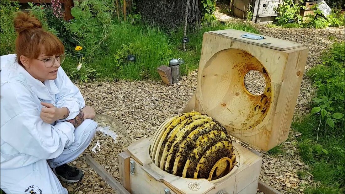 Liebe Zoofreunde und Bienensponsoren, zum Weltbienentag möchten wir uns bei Ihnen für 220.000 Euro bedanken, die unsere Spendenaktion „Eine Biene für Sie“ bereits gesammelt hat. Die Bienen sind für das Leben genauso wichtig wie für uns! Zusammen bilden Sie bereits einen großen Schwarm an Hilfsbereitschaft. Natürlich können Sie auch Ihren alltäglichen Helfern, Kollegen oder Mitarbeitern mit Bienen Tribut zollen. Alle Informationen finden Sie unter www.zoo-leipzig.de/bienchen. #ZooLeipzig #DerNaturAufDerSpur Zoo Leipzig GmbH Pfaffendorfer Str. 29 04105 Leipzig Telefon: 0341 5933-500 Fax: 0341 5933-303 E-Mail: office@zoo-leipzig.de Internet: www.zoo-leipzig.de. Youtube-Link
