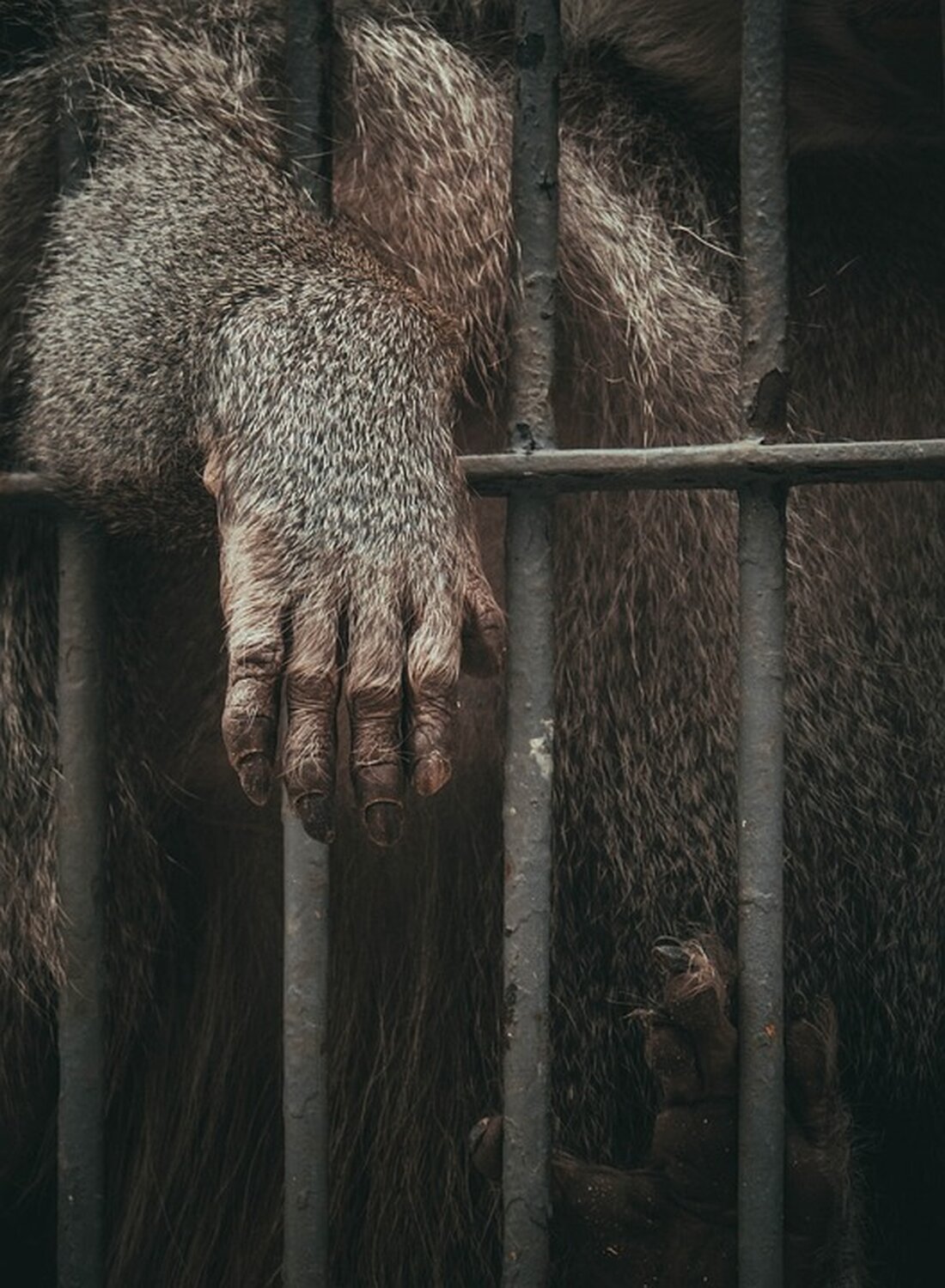 Entdecken Sie den Tierpark Berlin: ein einzigartiger Landschaftstiergarten mit über 8000 Tieren und reicher Geschichte.