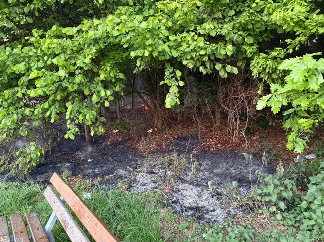 Feuerwehr Ense löscht Waldbrand, verursacht durch fahrlässigen Umgang mit Einweggrill. 70 Einsatzkräfte verhinderten Schlimmeres.