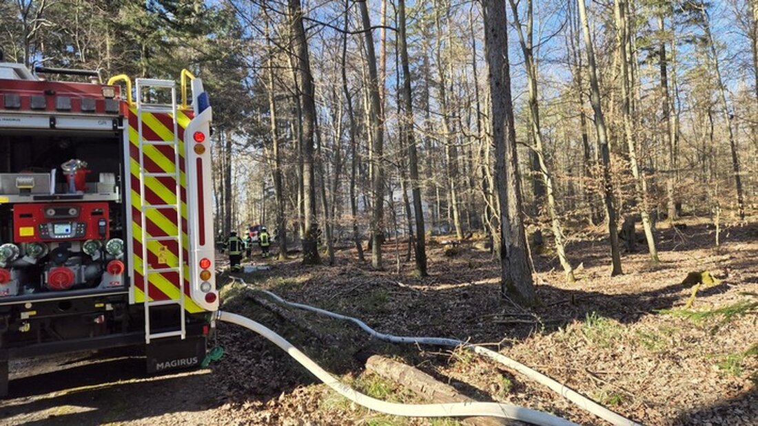 Im Bereich Hagenschieß - Eichwald wurde ein Waldbrand festgestellt, ausgelöst durch eine unklare Rauchentwicklung. Feuerwehr Pforzheim war im Einsatz, um die Flammen schnell unter Kontrolle zu bringen.