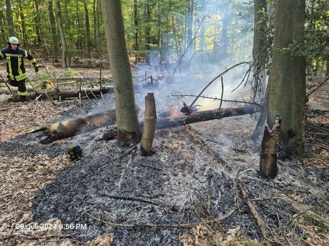 Im Kreis Soest ist die Wald- und Flächenbrandgefahr bereits hoch. Erfahren Sie, wie Sie vorbeugen können.