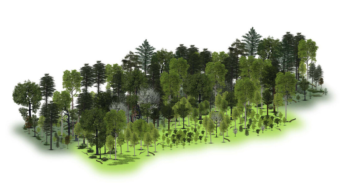Arbeitshilfe zur Anpassung der Wälder an den Klimawandel vorgestellt Baden-Württemberg reagiert auf die besorgniserregenden Auswirkungen des raschen Klimawandels auf die Wälder und stellt eine neue Arbeitshilfe vor, die Waldbewirtschaftern Orientierung, Hilfestellung und Handlungsoptionen bietet. Die Waldentwicklungstypen (WET) wurden entwickelt, um die Wälder besser an den Klimawandel anzupassen und gleichzeitig die natürliche Waldentwicklung und ökologische Erfordernisse zu berücksichtigen. Der Landesminister für Ernährung, Ländlichen Raum und Verbraucherschutz, Peter Hauk, betont die Notwendigkeit eines adaptiven Waldmanagements, um auf die Veränderungen des Klimas angemessen reagieren zu können. Die Integration von Klimarisiken in die WET soll einen wichtigen Impuls für die verstärkte Klimaanpassung der Wälder …
