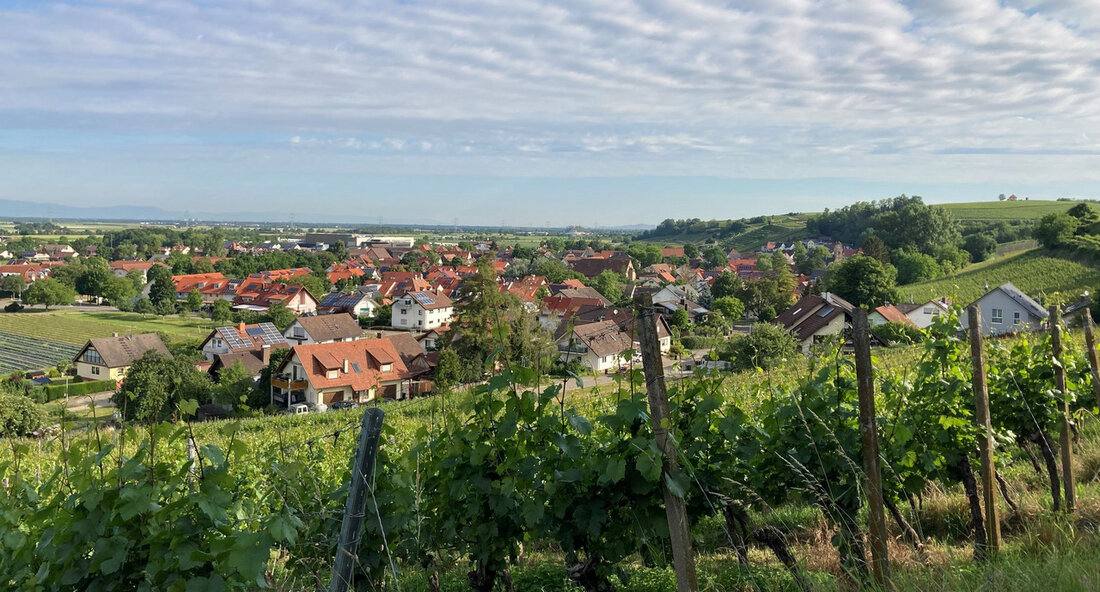 Baden-Württemberg nimmt fünf neue Gemeinden in das Entwicklungsprogramm Ländlicher Raum auf und setzt dabei verstärkt auf Klimaschutz und Nachhaltigkeit. Die bisherige Förderlinie „Schwerpunktgemeinden“ wird durch die neue Förderlinie „Modellgemeinden Nachhaltige Strukturentwicklung“ ersetzt. Der Minister für Ernährung, Ländlichen Raum und Verbraucherschutz, Peter Hauk, äußerte sich positiv über die bisherigen Erfolge der Schwerpunktgemeinden. Er betonte die Bedeutung einer zeitgemäßen und nachhaltigen Strukturentwicklung und erhofft sich neue Impulse von der neu konzipierten Förderlinie „Modellgemeinden Nachhaltige Strukturentwicklung“ (MOGENA). Minister Hauk unterstrich die Notwendigkeit von Maßnahmen für Klimaschutz und Klimaresilienz. Er erkenne bereits heute viel Sensibilität für kommunale Klimaschutzmaßnahmen in den ländlichen Kommunen. Die Bewältigung …
