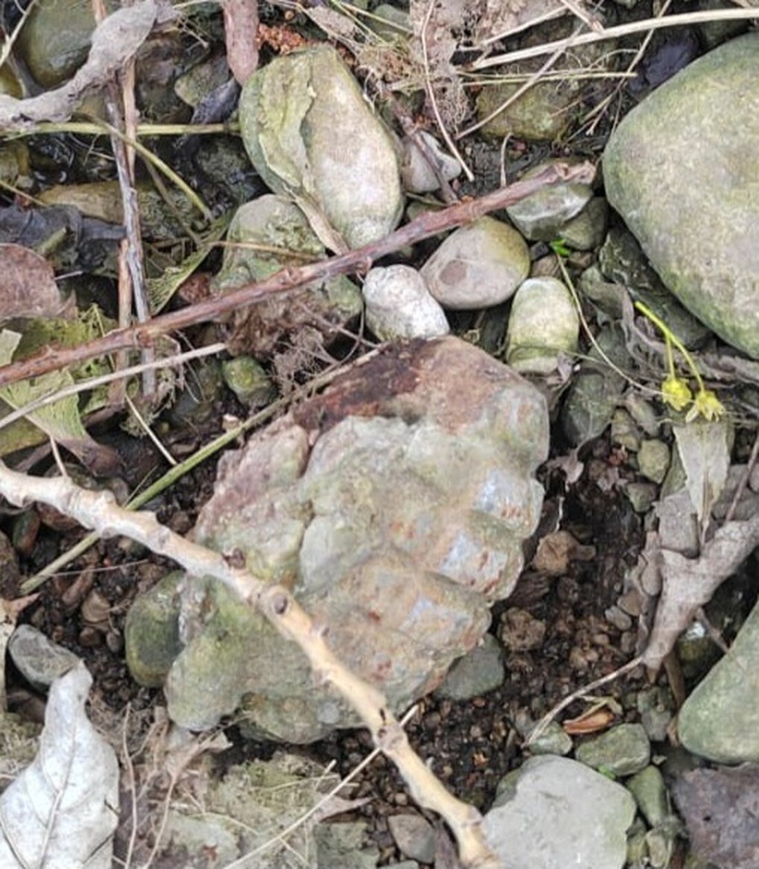 Ein Kind fand eine Granate im Peterbach. Eine kontrollierte Sprengung erfolgt um 14:10 Uhr. Anwohner wurden evakuiert.