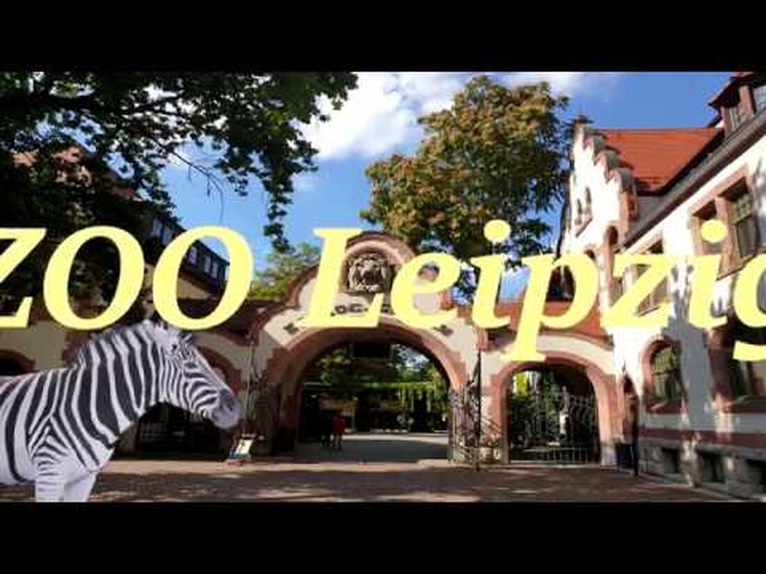 Ich bin gerade im Urlaub, daher folgen viele verschiedene Videos. Diese Woche war ich in Leipzig und natürlich beinhaltet Leipzig auch den Zoo! Was sich wirklich lohnt und eine schöne Erfahrung ist. Wenn Sie weitere Informationen über den Zoo wünschen, schauen Sie hier: https://www.zoo-leipzig.de/startseite/ Musik: Freie Savennen Musik. ▬ Über diesen Kanal ▬▬▬▬▬▬▬▬▬▬▬▬ „LuckeRs Gaming Kanal“ ist ein Projekt, das aus einer Leidenschaft für Spiele entstanden ist. Ich war mein ganzes Leben lang ein Spieler und habe bereits Erfahrungen in verschiedenen Projekten gesammelt. Lieben Sie Spiele und lassen Sie uns spielen? Dann sind Sie hier genau richtig! Ich spiele verschiedene …