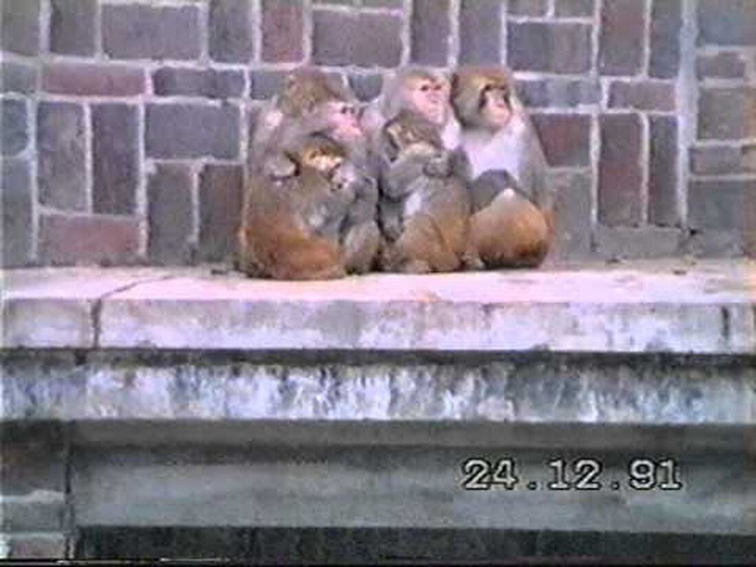 ZOO Leipzig Deutschland Ein Film von Gerd Helmut Montag. Youtube-Link