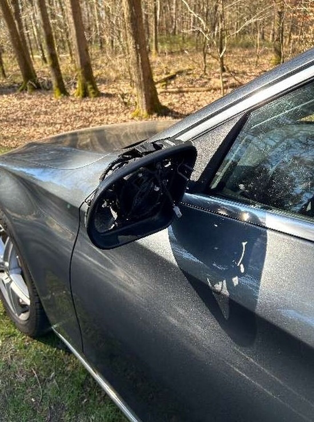 Am 03.04.2025 kam es in Hastedt zu einem Verkehrsunfall mit Flucht. Die Polizei sucht Zeugen, die Hinweise geben können.