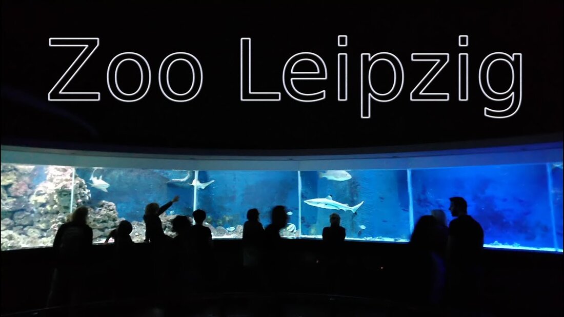 Zoo Leipzig – Aquarium & Gondwanaland 2018 Aufgenommen: Besuch am 26.08.2008 Music Cryin In My Beer von Audionautix Lizenziert unter der Lizenz „Creative Commons Attribution“ Künstler: http://audionautix.com Daily Beetle von Kevin MacLeod Under the “ Creative Commons Attribution „lizenzierter Künstler: http://incompetech.com. Youtube-Link