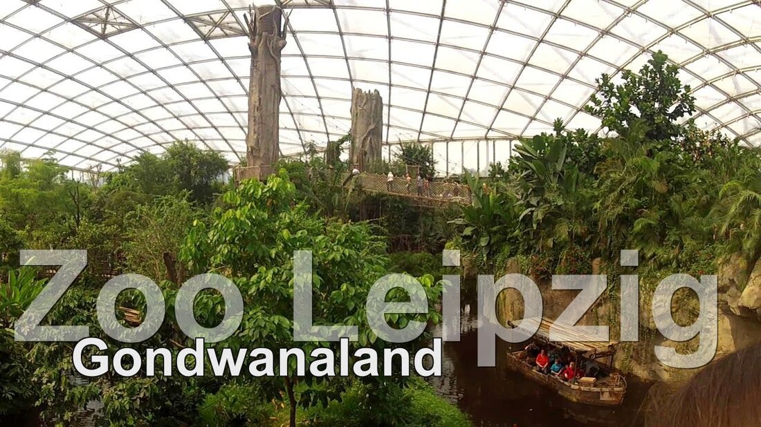 Ein Besuch im Leipziger Zoo. Hier Eindrücke aus dem Gondwanaland. Ein Besuch im Leipziger Zoo. Hier Eindrücke aus dem Gondwanaland. . Youtube-Link
