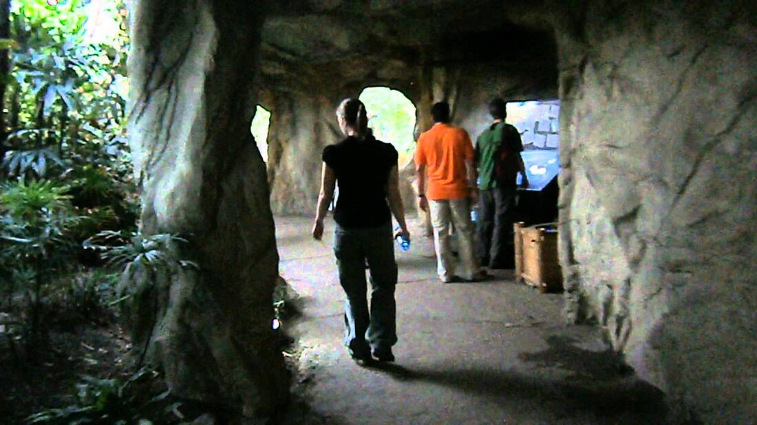 IEMSS 2012. Youtube-Link