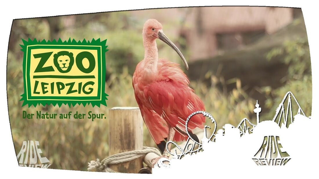 http://www.zoo-leipzig.de/ Kontakt: broentdetv@gmail.com Hier findet ihr eine Karte mit einer Übersicht aller Parks hier auf dem Kanal: https://www.google.com/maps/d/ bearbeiten ? mid = z8YsRqSb8ptc.kR4pUcg2FbXA Fahrbericht auf Facebook: https://www.facebook.com/ridereview Fahrbericht Instagram: https://instagram.com/ridereview/. Youtube-Link