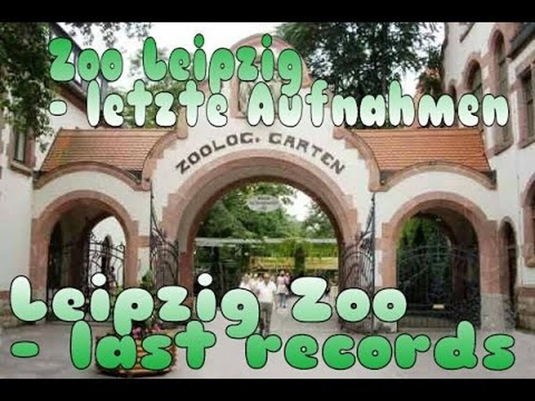 Genießen Sie die letzten Aufnahmen aus dem Leipziger Zoo, nach dem Urlaub kommen neue Bilder aus einem anderen schönen Zoo 🙂 Genießen Sie die letzten Aufnahmen aus dem Leipziger Zoo, nach dem Urlaub kommen neue Bilder aus einem anderen schönen Zoo! Musik von YT Audio Library. Youtube-Link