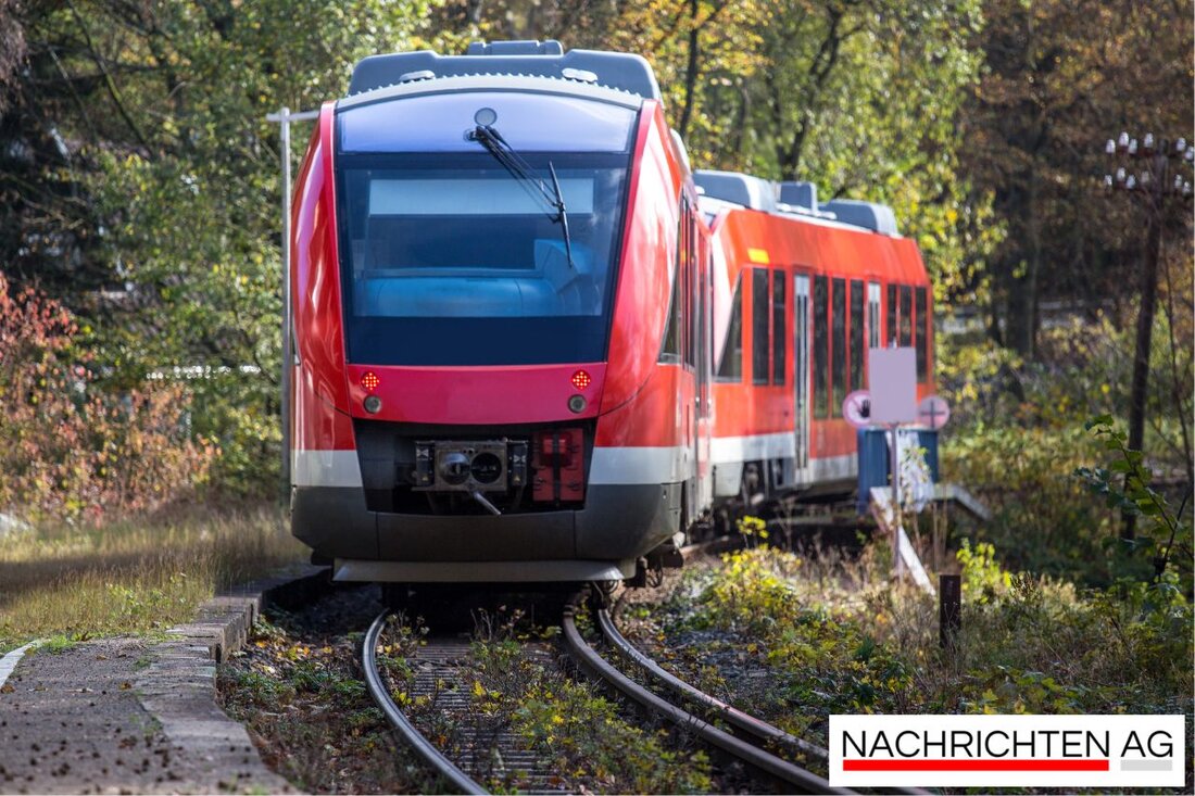 Kühe blockieren Bahnverkehr zwischen Chemnitz und Aue; 10 Züge ausgefallen, Tiere unversehrt geborgen. Bundespolizei und Veterinäramt im Einsatz.