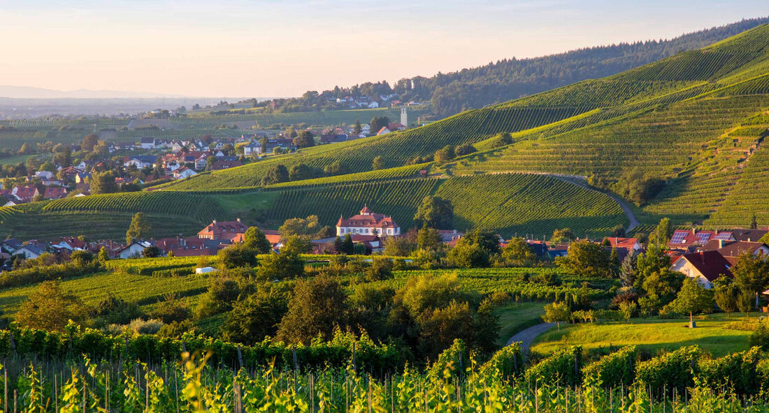 Im Jahr 2023 hat der Kabinettsausschuss Ländlicher Raum wichtige Impulse für die Zukunftsfähigkeit ländlicher Regionen gesetzt. Die Landesregierung unter dem Dach des Kabinettsausschusses hat nachhaltige Konzepte entwickelt, innovative Projekte angestoßen und konkrete Maßnahmen umgesetzt, um die Lebensqualität der Menschen vor Ort zu verbessern und die Attraktivität ländlicher Räume zu steigern. Besonders in den Bereichen Pflege und Gesundheit, Bildung, Wirtschaft, Resilienz und Kultur wurden 2023 Maßnahmen ergriffen, um die ländlichen Regionen zu stärken. Der Jahresbericht, der am Dienstag, den 19. März 2024, dem Kabinett vorgestellt wurde, gibt einen Einblick in die umfangreichen Aktivitäten der Landesregierung. Ein besonderer Fokus lag dabei auf …