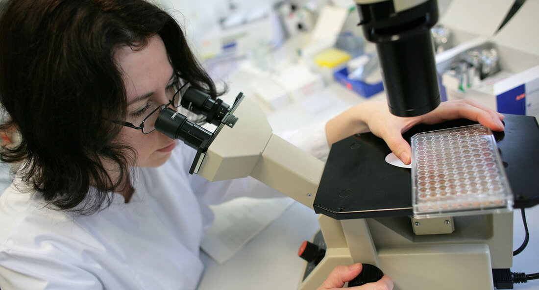 Die Landesregierung stärkt die Ingenieurausbildung im Land, um Baden-Württemberg auch zukünftig als Innovationsstandort zu positionieren. Dazu gehört es, das Studienangebot der Ingenieurwissenschaften attraktiv und aktuell zu halten. „Es war längst überfällig, dass die Ingenieurausbildung in den Fokus gerückt wird“, sagte die Wissenschaftsministerin Teresa Bauer anlässlich einer Präsentation von akademischen und geschäftlichen Organisationen Positionspapier zur Stärkung der Ingenieurausbildung in Baden-Württemberg (PDF). „Wir erleben nicht nur eine kurzfristige wirtschaftliche Welle oder Auswirkungen der Covid Pandemie, sondern eine weitreichende und nachhaltige Transformation unserer Wirtschaft. Dies erfordert auch strukturelle Veränderungen in den Ingenieurwissenschaften, ihren Studieninhalten und Forschungsschwerpunkten. Daher begrüße ich es sehr, dass dieses …
