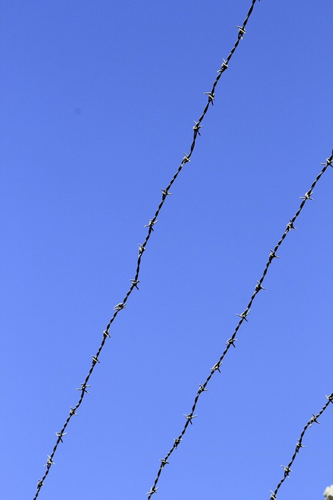 Mann in Stuttgart festgenommen: Diebstahl von Alkohol in Geschäft führt zu Haftbefehl. Aktuelle Regionalnachrichten aus Stuttgart-Mitte.