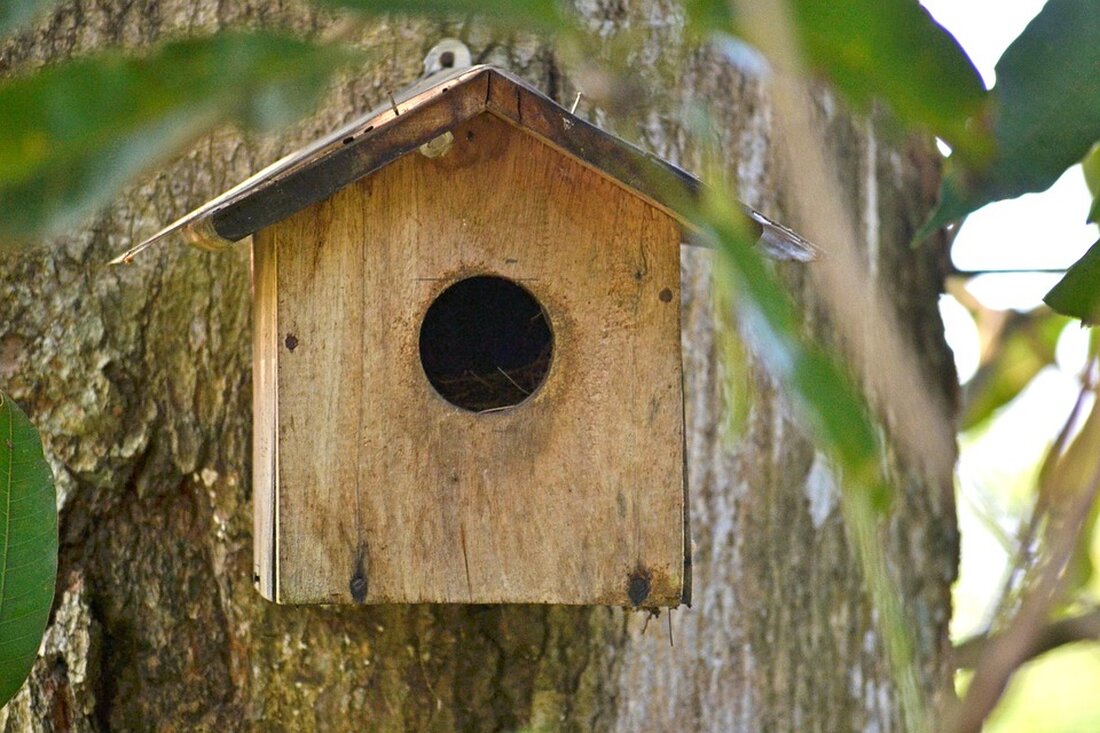 Meta-Beschreibung: Erfahren Sie in unserem Artikel, wie Antikollisionssysteme an Windenergieanlagen zum Vogelschutz eingesetzt werden. Beleuchtet werden die Ergebnisse des FuE-Projekts „Antikollisionssysteme in der Praxis“ sowie die Herausforderungen und Chancen bei der Implementierung. Diskutieren Sie mit Experten über die wirtschaftlichen Aspekte und die künftige Entwicklung dieser Technik im Kontext der aktuellen gesetzlichen Rahmenbedingungen.