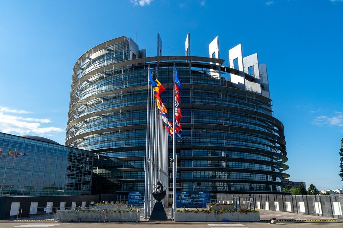 Das Europäische Parlament fordert in einer Resolution den Einsatz westlicher Waffen durch die Ukraine gegen russische Ziele.