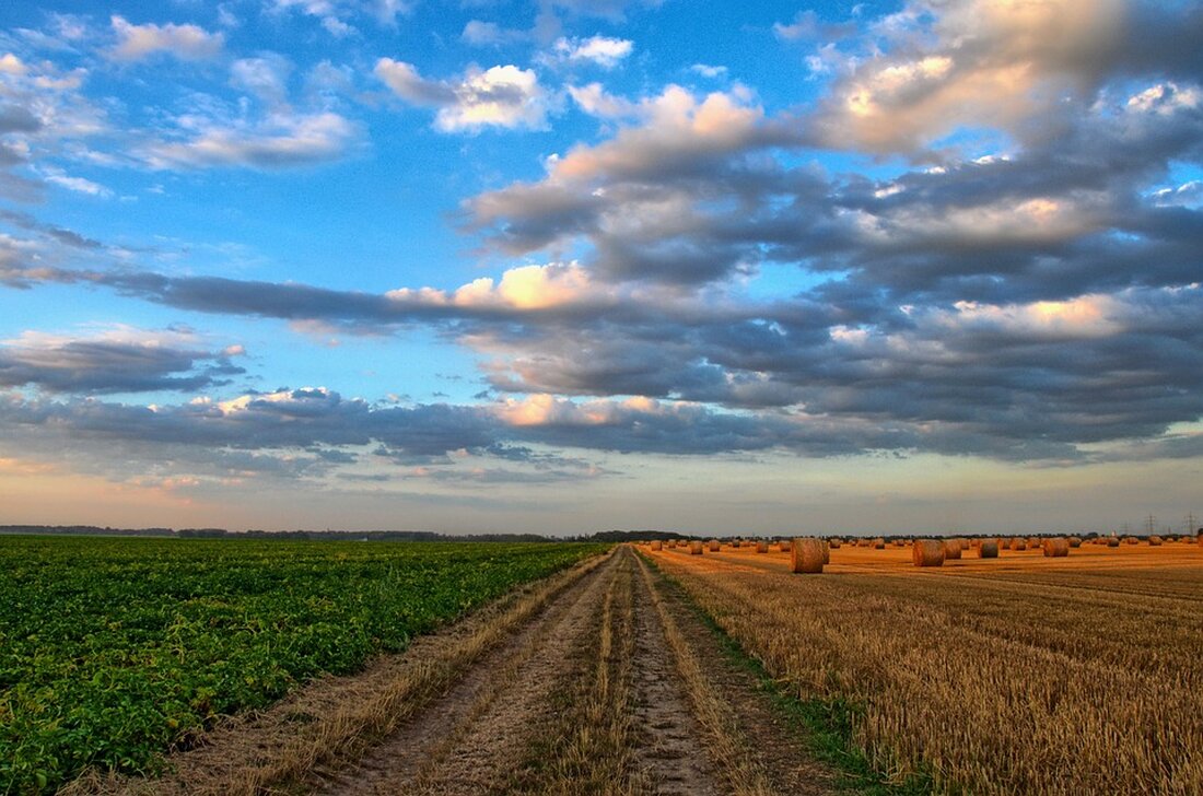 Zecken sind aufgrund des Klimawandels fast das ganze Jahr aktiv. Die Übertragung von FSME ist ein ernstes Problem. Wie wichtig die FSME-Impfung ist und wie sie vorbeugt, lesen Sie in diesem Artikel.