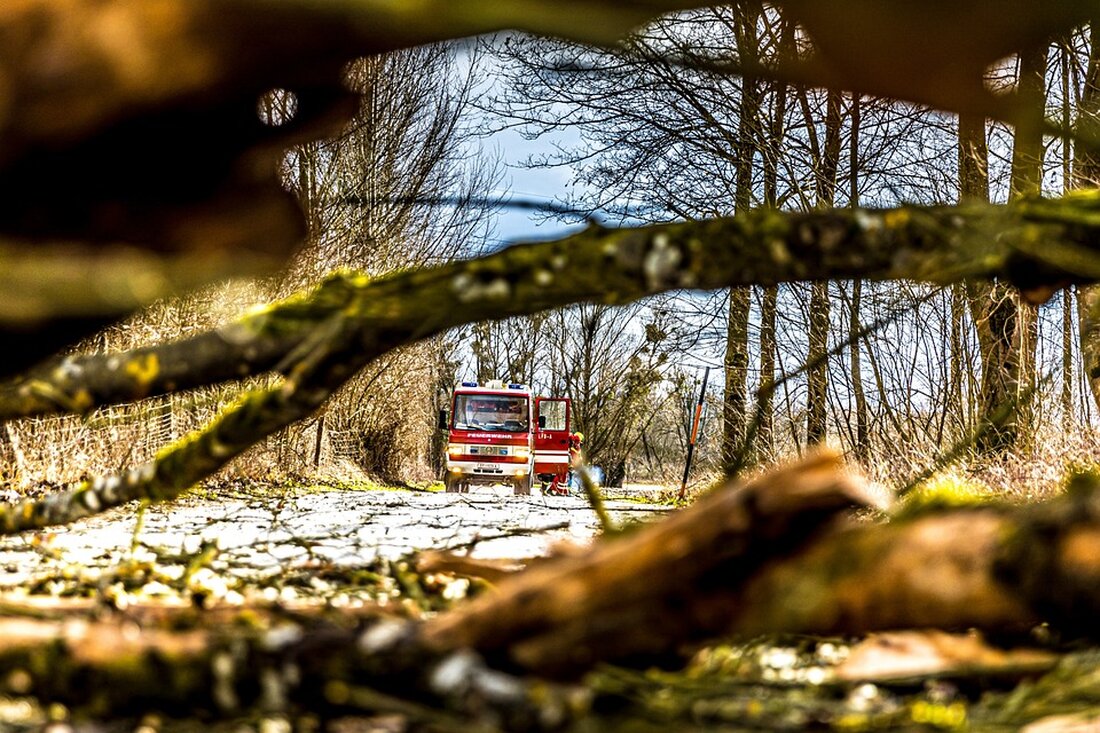 Feuerwehreinsatz in Troisdorf: Brand in Entsorgungsanlage der RSAG - Aktuelle Informationen und Hintergründe. Spektakuläre Rettungsaktion mit 60 Einsatzkräften. Schaden in Millionenhöhe, zum Glück keine Verletzten.