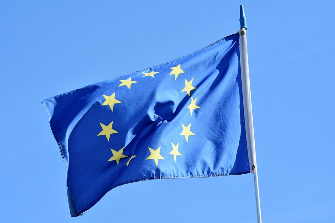 Ein EU-Abgeordneter droht mit einem Verbot von X in der EU wegen Nichteinhaltung des Digital Services Act und mangelnder Moderation.