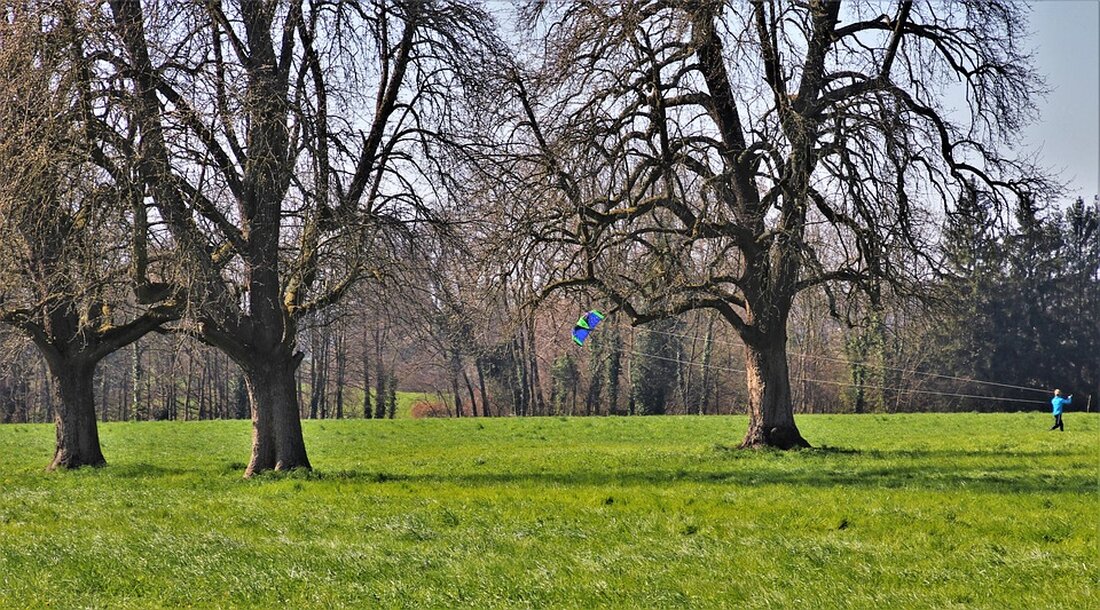 Irakischer Abschiebe-Häftling flieht bei Pass-Termin vor Behörden in Halle (Saale); Polizei startet europaweite Fahndung.
