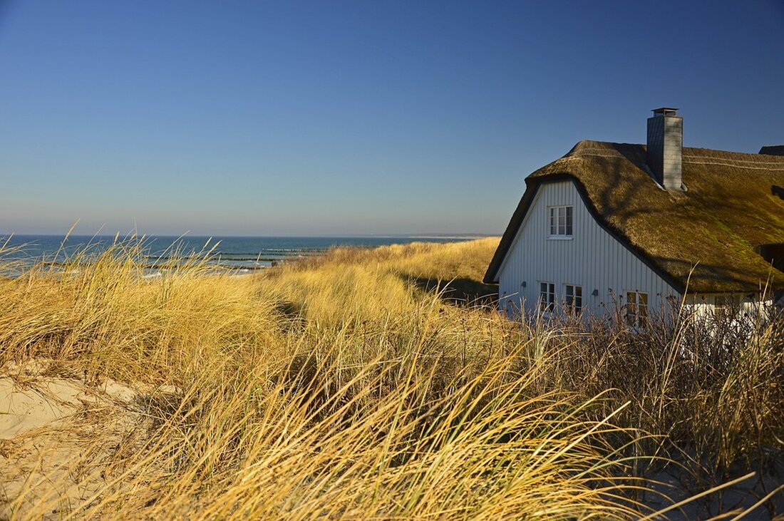 Erfahren Sie in unserem Artikel, warum der BUND eine Fangpause für die Ostsee fordert. Trotz besorgniserregender Fischbestände wie Dorsch und Hering haben die EU-Fischereiminister*innen beschlossen, die Fangquoten 2025 zu erhöhen. Welche Auswirkungen hat diese Entscheidung auf das Ökosystem der Ostsee und die Fischerei? Lesen Sie mehr über die dringenden Herausforderungen für den Schutz der Meereslebewesen und die notwendigen Maßnahmen zur Wiederherstellung der Fischpopulationen.