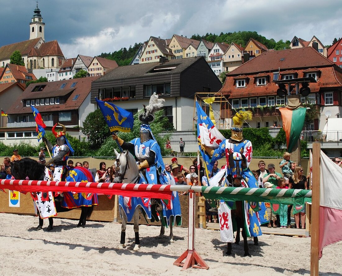 Erfahren Sie, wie die Deutsche Telekom den Mobilfunkausbau in Horb am Neckar vorantreibt und die Netzabdeckung verbessert. Mehr Bandbreite und Empfang in Gebäuden.