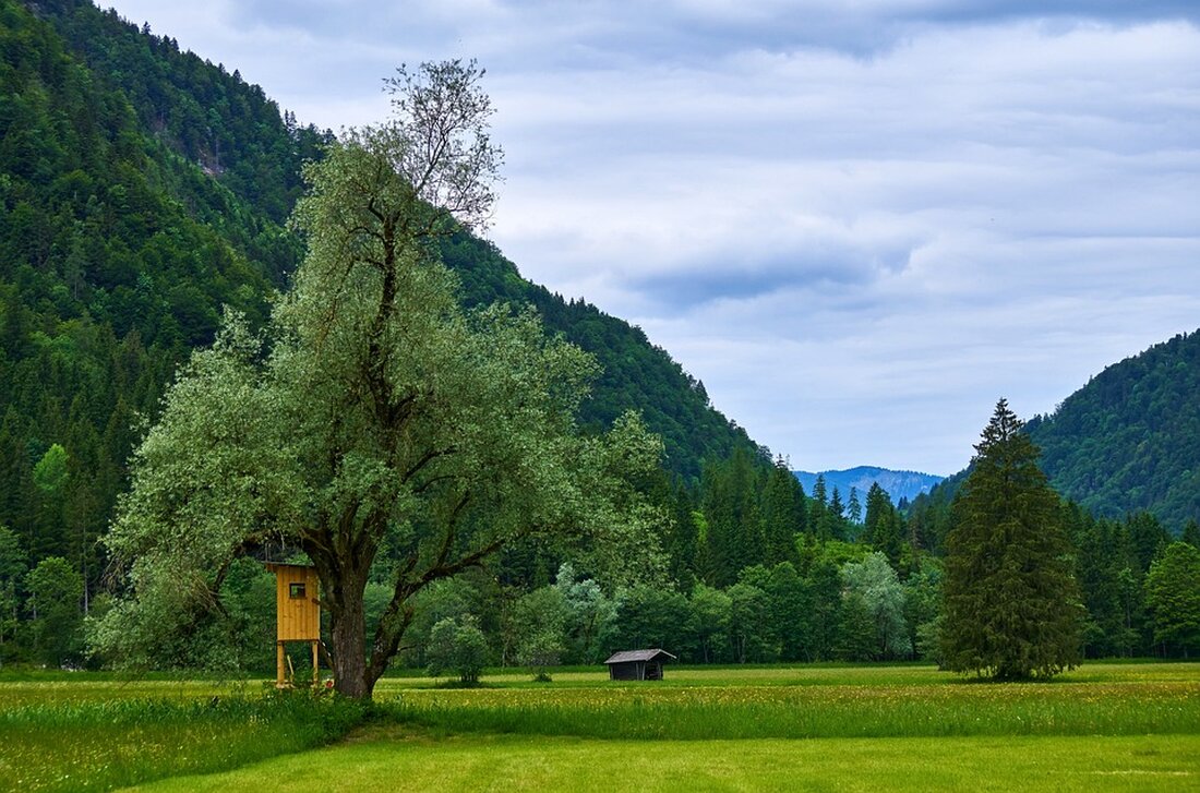 Die Bundespolizei stoppte einen Schleuser in Mittenwald: Sieben Syrer im Auto, drei davon im Kofferraum. Vier verweigerte Einreise.