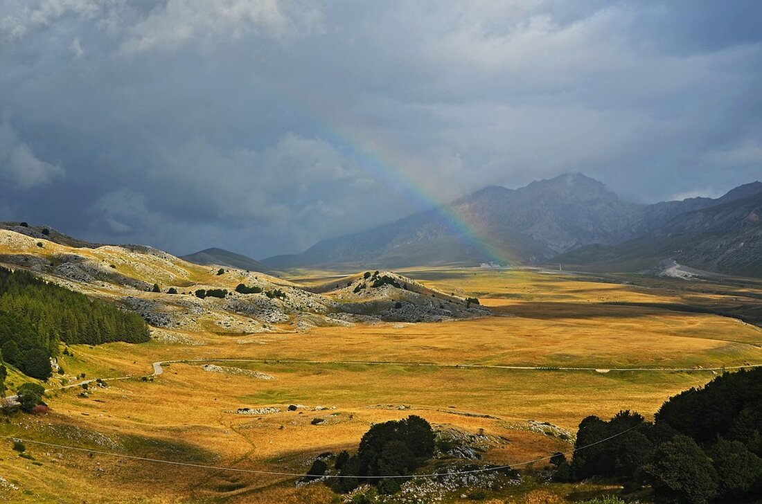 Neue Regenbogen-Plauderbänke fördern Vielfalt und Dialog an drei Standorten in Landau. Mittwochs Plauderstunden zu aktuellen Themen.