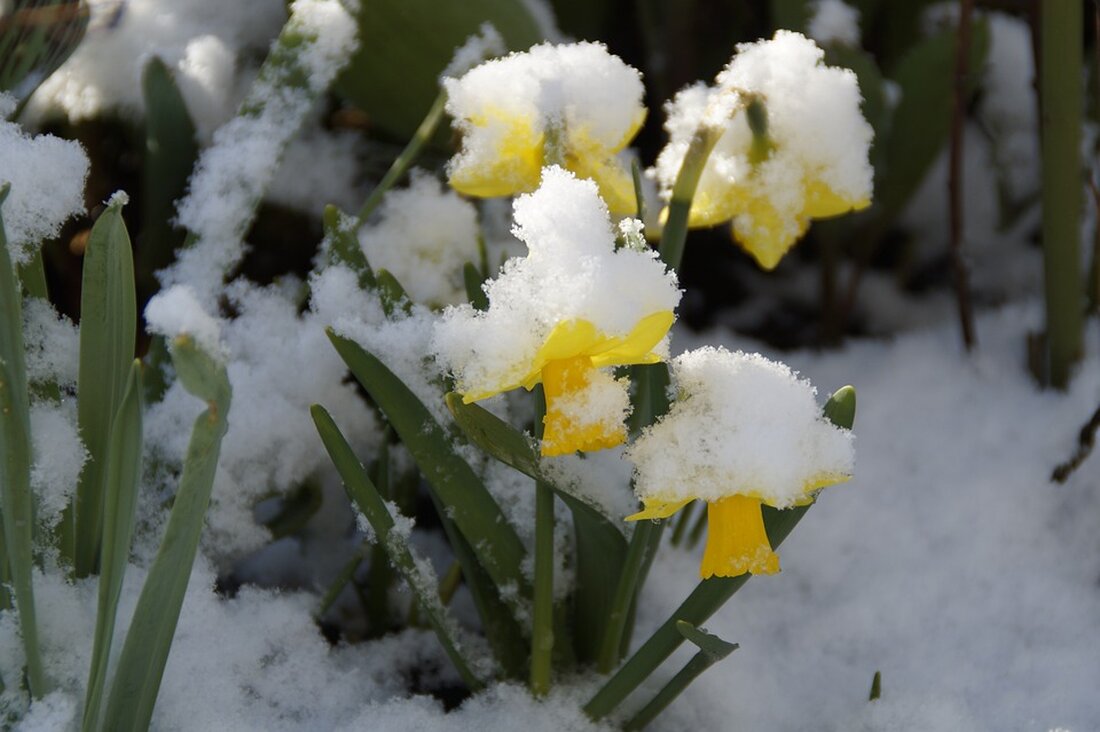 Aktuelle Wetterlage in Stuttgart: Nach Sommerwetter bringt April Schnee und Frostgefahr. Deutscher Wetterdienst warnt vor ungemütlichem Aprilwetter mit Schauern und Gewittern. Bleiben Sie informiert!